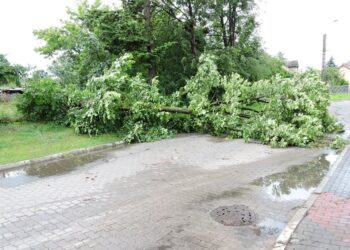 Mielec:  Skutki burz.