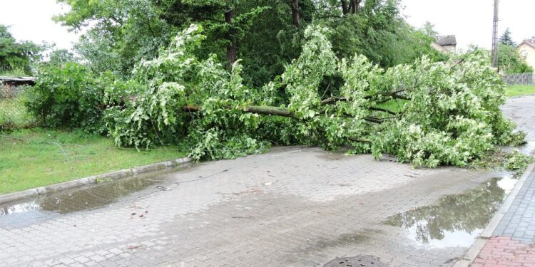 Mielec:  Skutki burz.