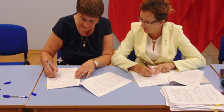 Ostrowiec Św.: Pięć linii autobusowych.