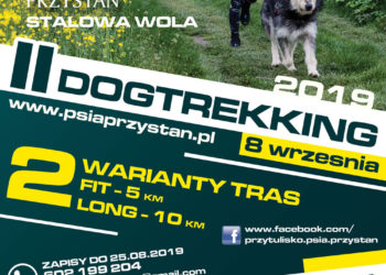 Stalowa Wola: Weź udział w dogtreckkingu