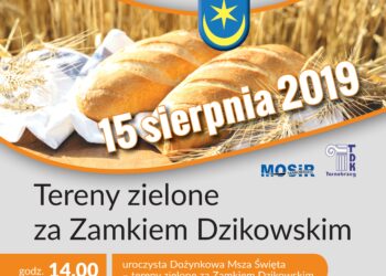 Tarnobrzeg. Miejskie Dożynki za Zamkiem Dzikowskim.