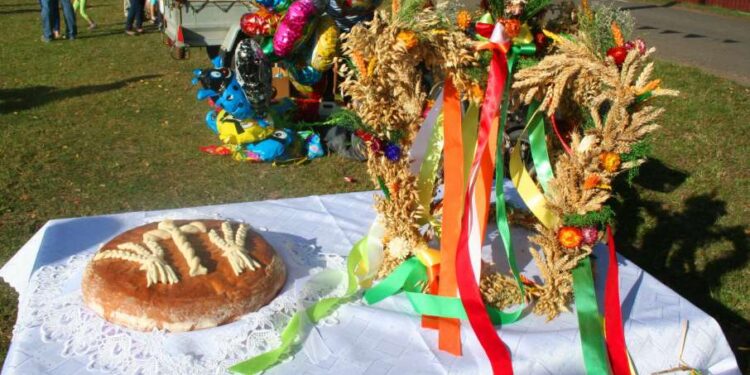 Mielec: Dożynkowo w regionie.