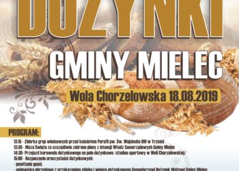 Mielec: Niedzielne Dożynki w regionie.