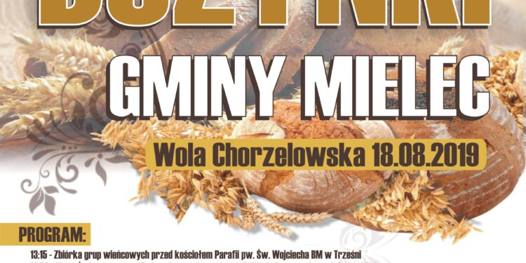 Mielec: Niedzielne Dożynki w regionie.