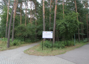 Mielec: Nowe drzewa i nowe krzewy…