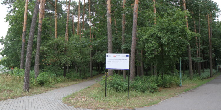 Mielec: Nowe drzewa i nowe krzewy…