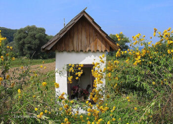 Mielec: Szukajmy zapomnianych kapliczek….