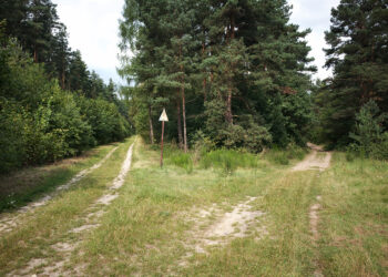 Dębica: Wyjechał na wycieczkę…