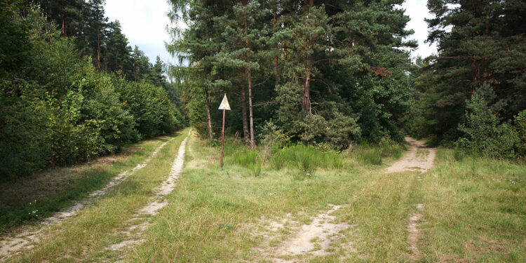 Dębica: Wyjechał na wycieczkę…