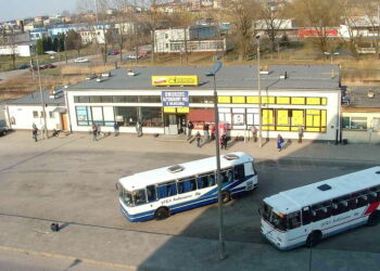 Kolbuszowa: Nowe linie autobusowe.