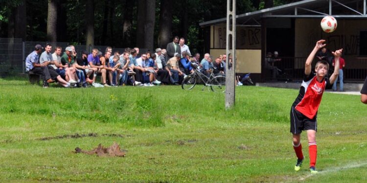 Cmolas: Chcą stojaków na rowery.