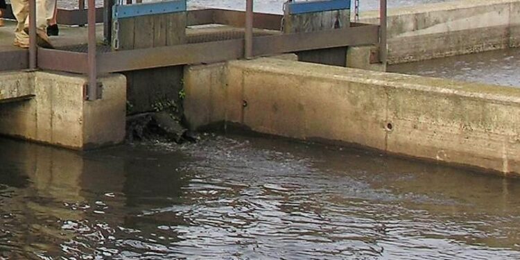 Mielec: Boją się elektrowni