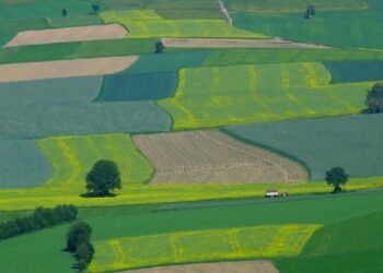 Baranów Sandomierski: Będą scalenia gruntów w Woli Baranowskiej