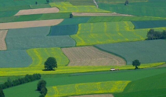 Baranów Sandomierski: Będą scalenia gruntów w Woli Baranowskiej