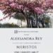 Sandomierz: Dziś wernisaż wystawy malarstwa Aleksandry Rey „Meristos”.