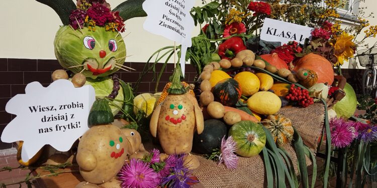 Tarnobrzeg. Tłumy na Święcie Pieczonego Ziemniaka w Sobowie.
