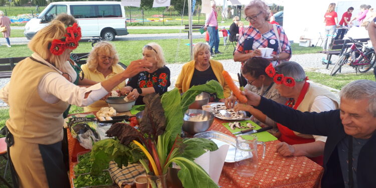 Sandomierz: Organizacje i stowarzyszenia prezentowały się na Festiwalu Organizacji Pozarządowych.