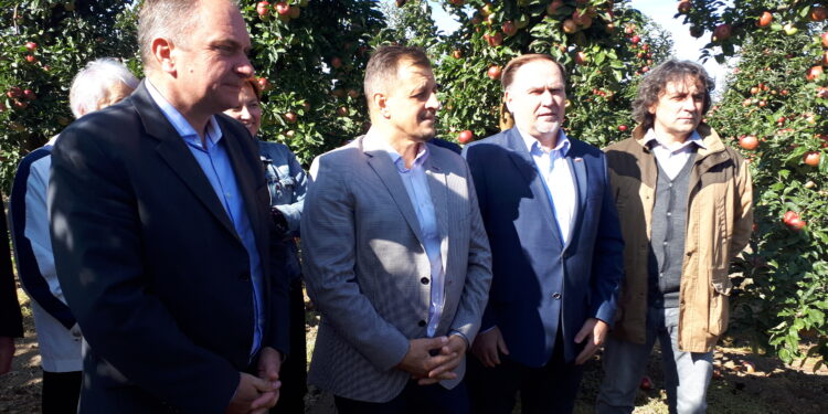 Sandomierz: Sadownicy wzywają do wstrzymania dostaw jabłek do skupów.