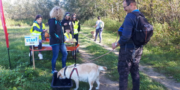 Sandomierz: II Sandomierski Dogtrekking Wiśniowy.