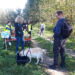 Sandomierz: II Sandomierski Dogtrekking Wiśniowy.