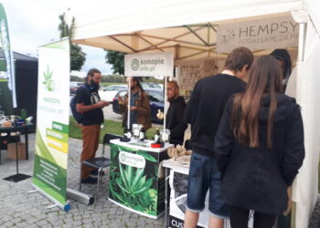 Sandomierz: Drugi dzień „Dożynek konopnych”.