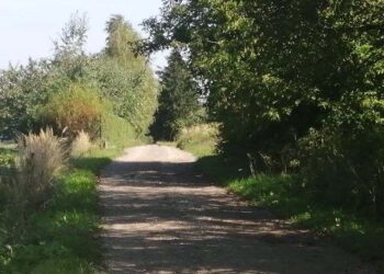 Sandomierz: Ulica Brzozowa zostanie wyasfaltowana.