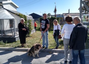 Mielec: Podaruj  swój dom  czworonogom….