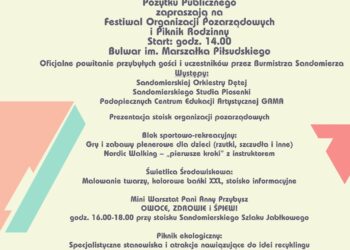 Sandomierz: Festiwal Organizacji Pozarządowych.