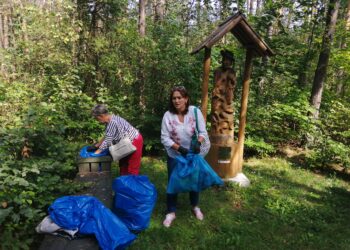Koprzywnica, Beszyce, Przybysławice: Wielkie sprzątanie lasu.