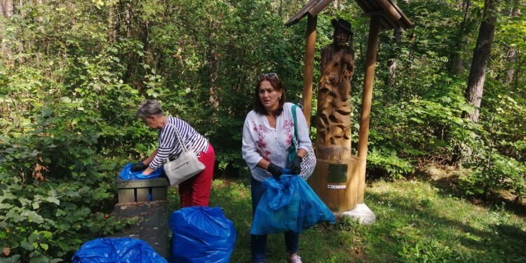 Koprzywnica, Beszyce, Przybysławice: Wielkie sprzątanie lasu.