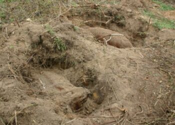 Pilzno: Bombowe podwórko.