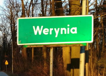 Werynia: Oddali drogę leśnikom