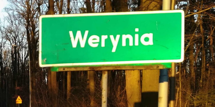 Werynia: Oddali drogę leśnikom