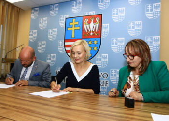 Region: Żłobek i dzienny dom opieki medycznej