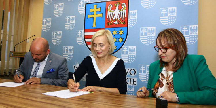 Region: Żłobek i dzienny dom opieki medycznej
