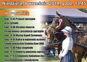 Radomyśl Wielki: Parada Konna w Żarówce.