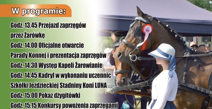 Radomyśl Wielki: Parada Konna w Żarówce.