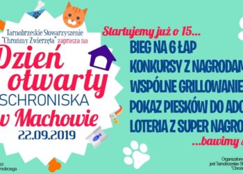 Tarnobrzeg. „Dzień Otwarty” schroniska dla zwierząt w tarnobrzeskim Machowie.