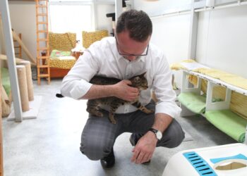 Mielec: Liczymy na dary dla czworonogów.