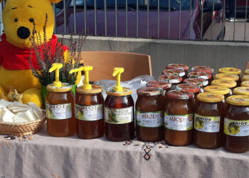 Stalowa Wola: Forum i kiermasz miodów