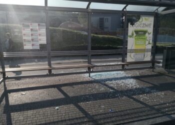 Mielec:  Wandalizm opanował miasto.