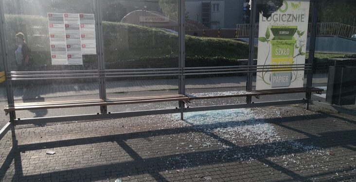 Mielec:  Wandalizm opanował miasto.