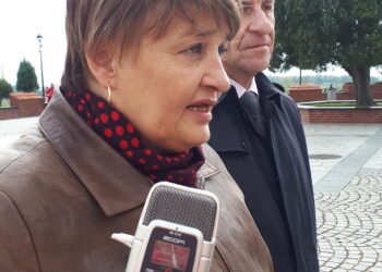 Sandomierz: Kandydatka na senatora z okręgu nr 82 Marzena Dębniak o służbie zdrowia.