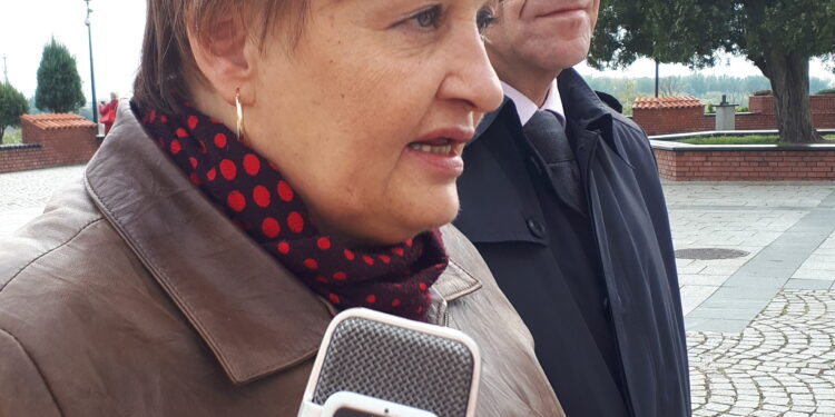 Sandomierz: Kandydatka na senatora z okręgu nr 82 Marzena Dębniak o służbie zdrowia.