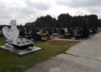 Tarnobrzeg.  Bezpieczeństwo i porządek na drogach. Organizacja ruchu.