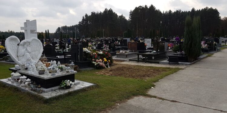 Tarnobrzeg.  Bezpieczeństwo i porządek na drogach. Organizacja ruchu.