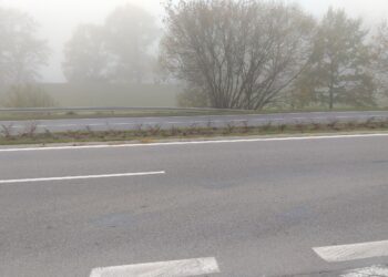 Tarnobrzeg. Tysiące ozdobnych krzewów, traw i bylin wzdłuż głównej arterii komunikacyjnej miasta.