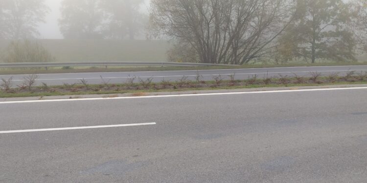 Tarnobrzeg. Tysiące ozdobnych krzewów, traw i bylin wzdłuż głównej arterii komunikacyjnej miasta.