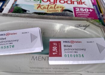 Mielec:  Czy jeździmy „na gapę”?