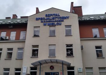 Mielec:  Symboliczna kwota pomocy.